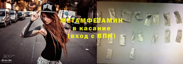 сатива Вяземский