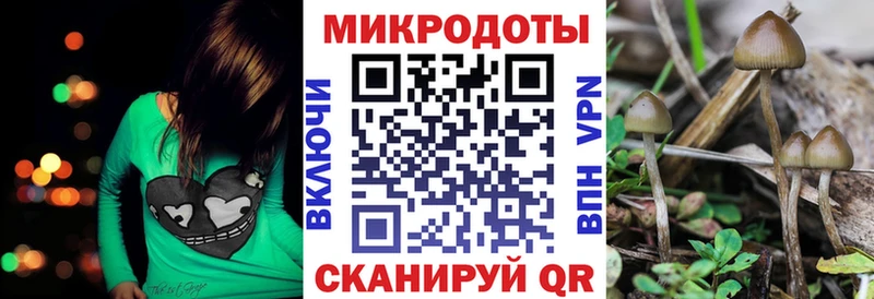 Псилоцибиновые грибы MAGIC MUSHROOMS  mega как зайти  Оханск 